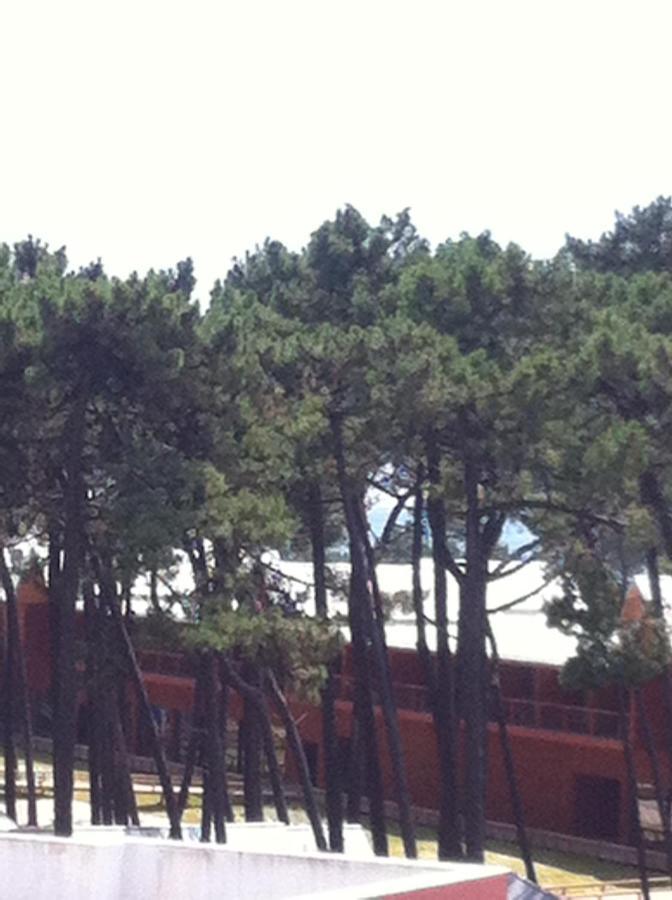 Beach House Cabedelo Viana do Castelo Bagian luar foto